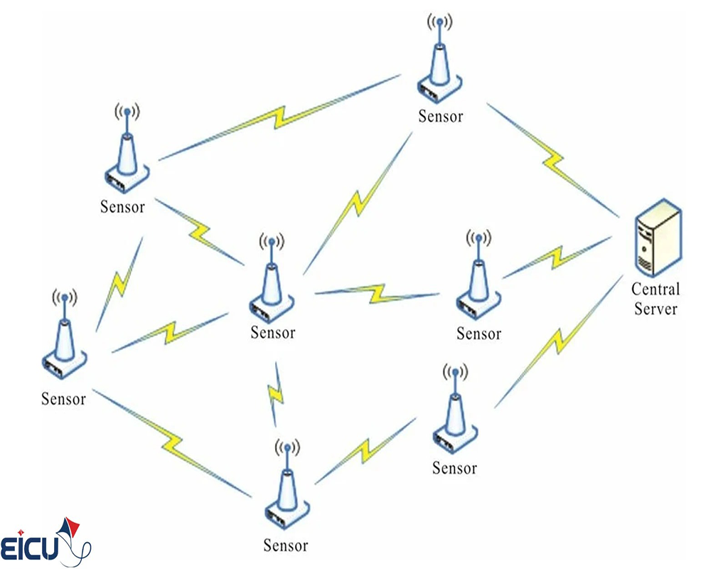 Wireless Sensor Network Topology